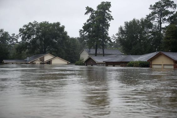 natural disaster in Assam